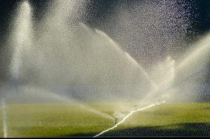 Trawa z rolki Gliwice. Dlaczego warto skorzystać z możliwości ułożenia trawnika?