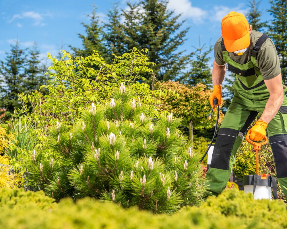 Grzybobójcze środki ochrony roślin – jak stosować, by cieszyć się zdrowym ogrodem?